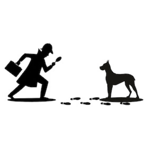 baskerville-ein-sherlock-holmes-krimi-von-ken-ludwig