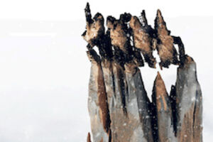 Tous sur la banquise - Premiere