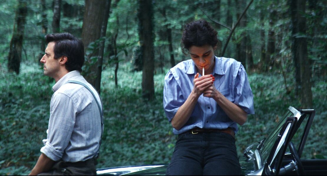 jane-austen-und-das-chaos-in-meinem-leben