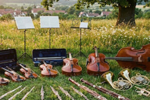 Von Wien nach New York - Kammerorchester der Musikschule B-L-S
