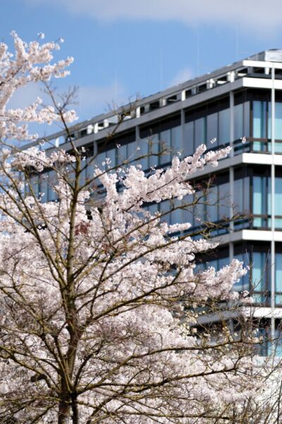 sep-ruf-architekt-der-moderne