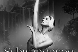 Schwanensee - Jenseits der Bühne mit live Streichquartett