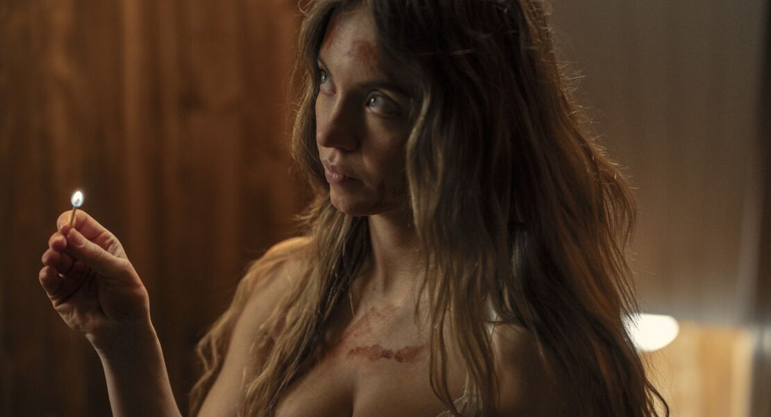 the-housemaid-wenn-sie-wusste