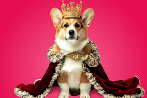 Royals - Komödie von Felix Krakau