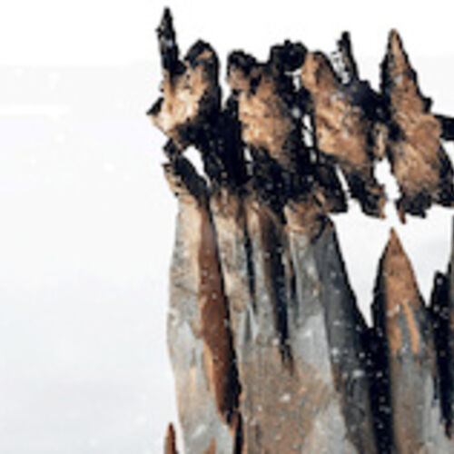 tous-sur-la-banquise