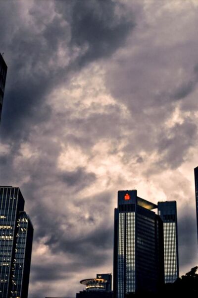 urgewald-auf-den-spuren-des-geldes